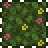 Jungle Foliage (placed).png