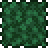 Forest Foliage (placed).png