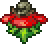 Blood Blossom.png